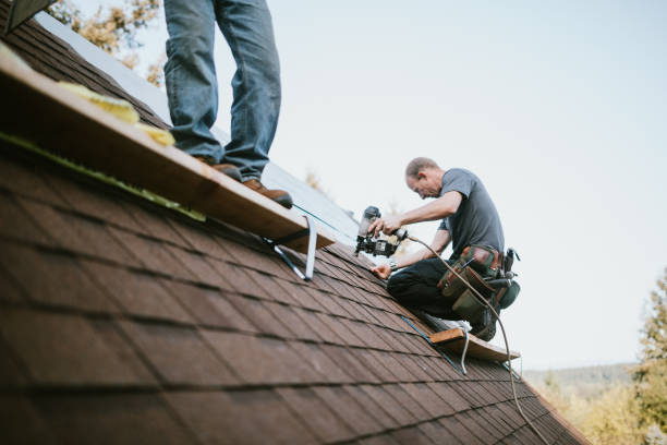 Best Roof Gutter Cleaning  in Georgetown, OH